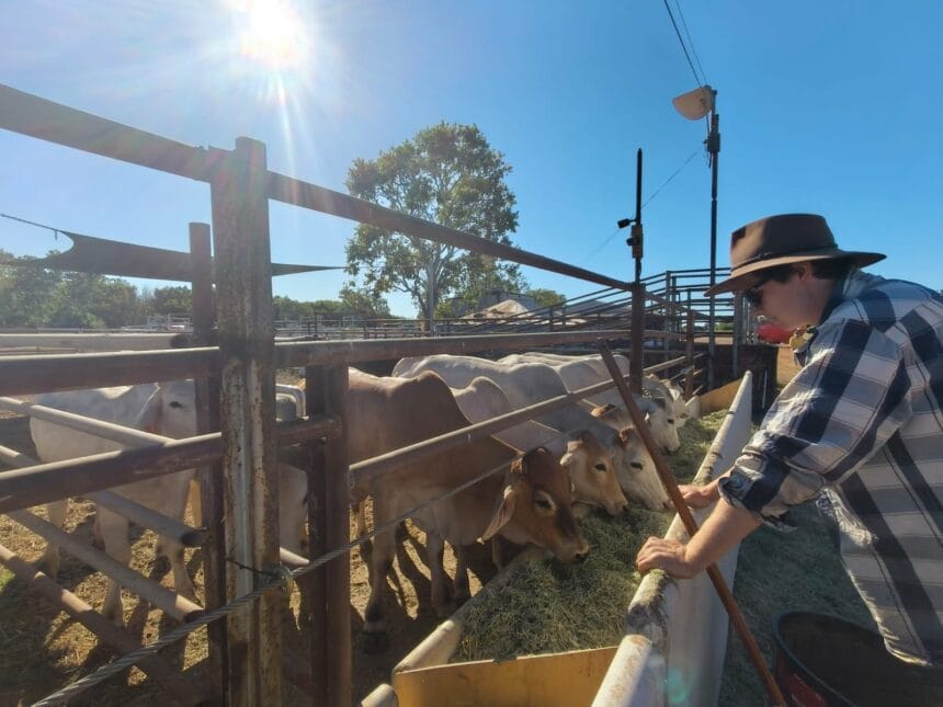 DPIRD research scientist Darcy MacCartie in Kununurra