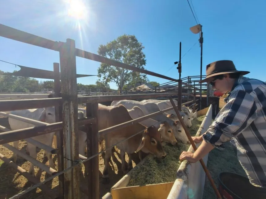 DPIRD research scientist Darcy MacCartie in Kununurra