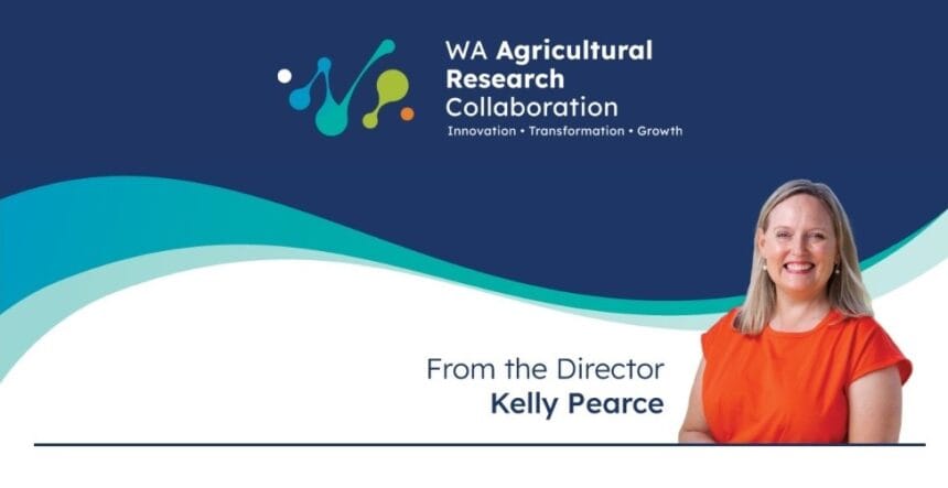 From the Director newsletter banner