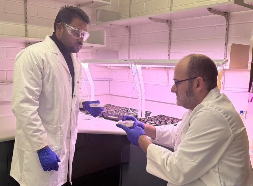 Assoc Prof Ryan Whitford