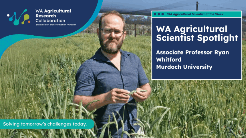 Associate Professor Ryan Whitford - Scientist Spotlight