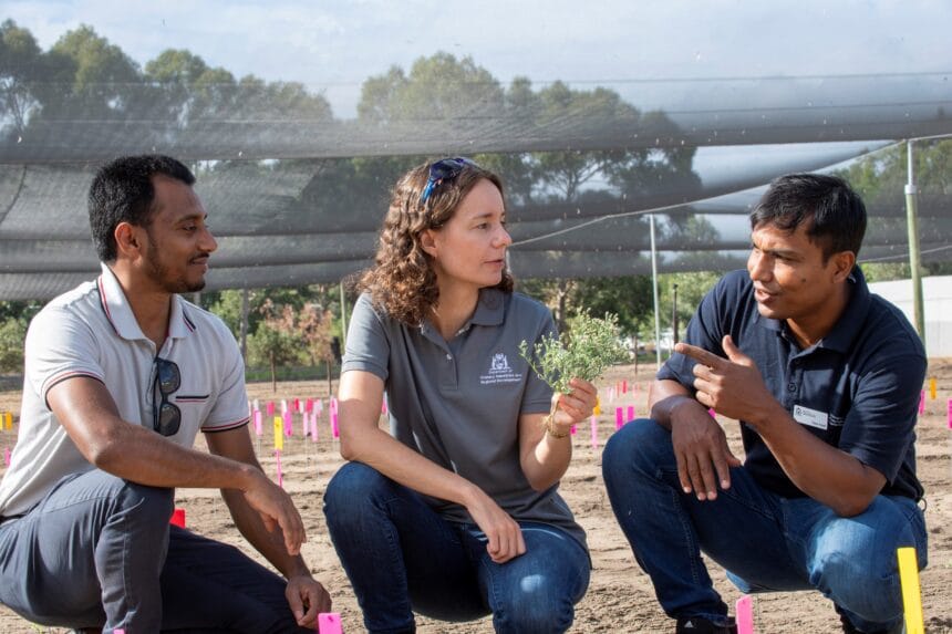 Dr Catherine Borger and team