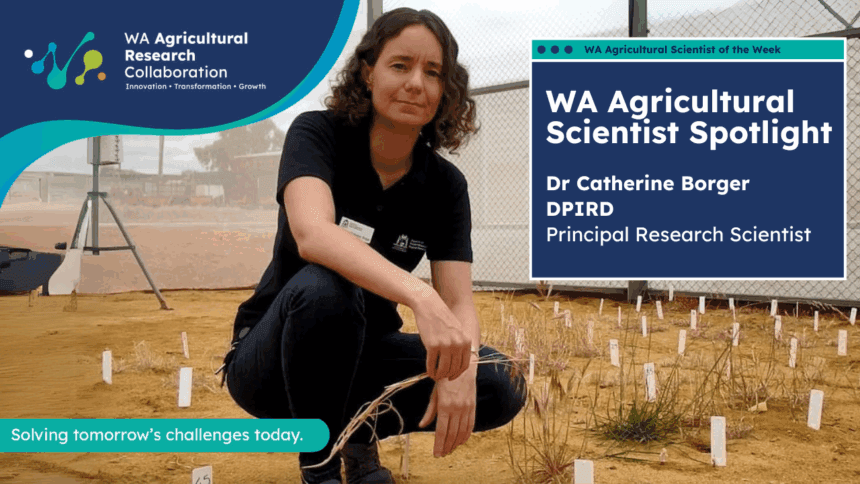 Dr Catherine Borger - Scientist Spotlight