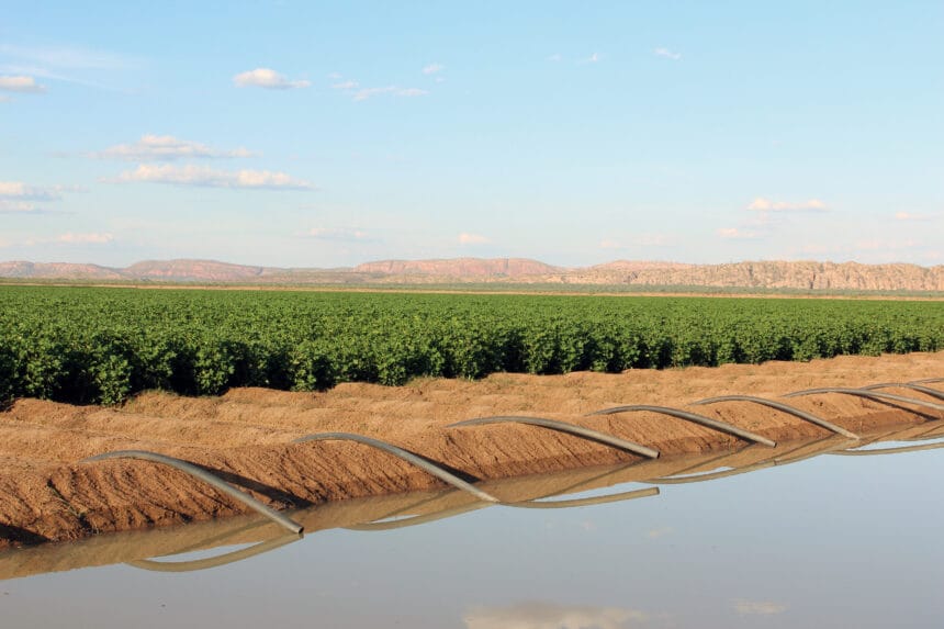 Irrigated cropping Northern Australia