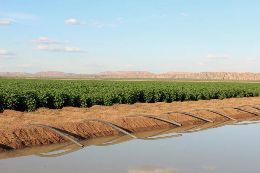 Irrigated cropping Northern Australia