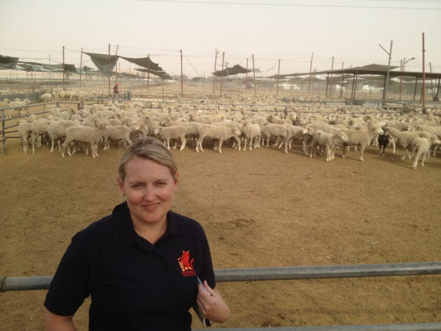 Dr Kelly Pearce Jordanian feedlot