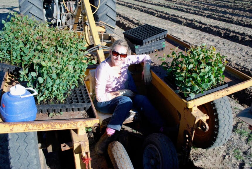 Dr Kelly Pearce saltbush