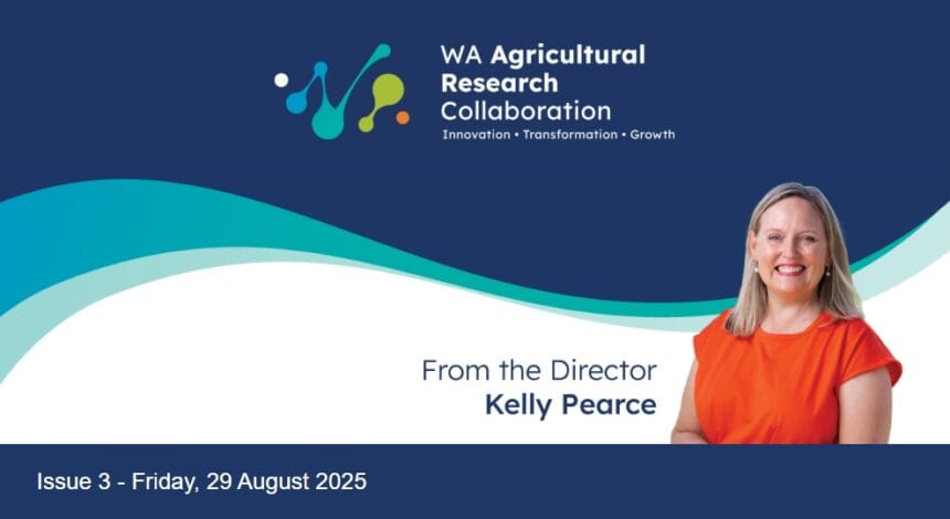 Issue 3 - From the Director e-newsletter