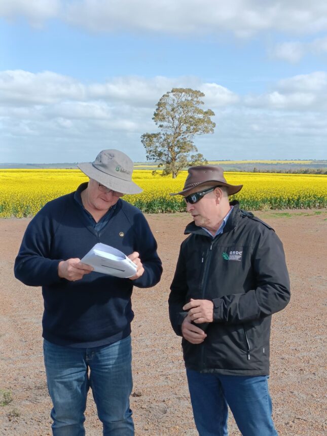 Ron Yates and Uys Lourens at Kendenup trial site - HALO project