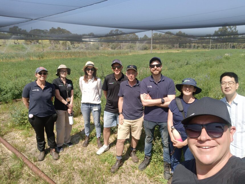 Lupin Disease Resistance field tour group