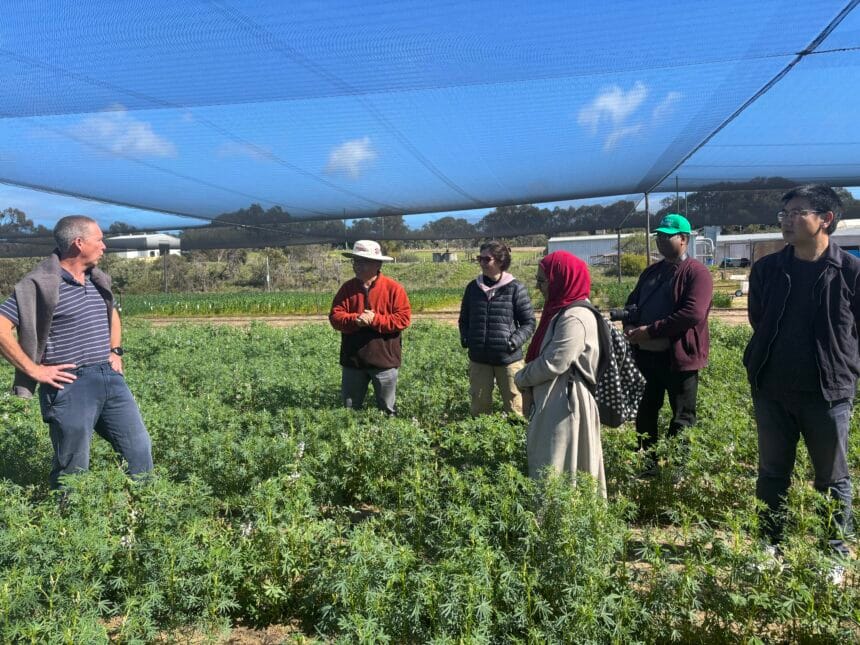 Prof Ferdous Sohel in greenhouse