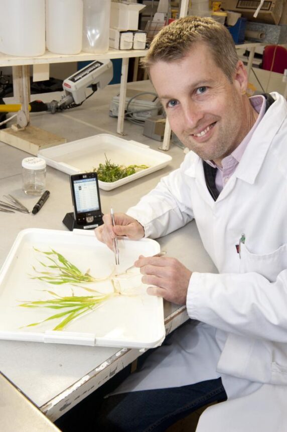 Daniel Huberli lab research