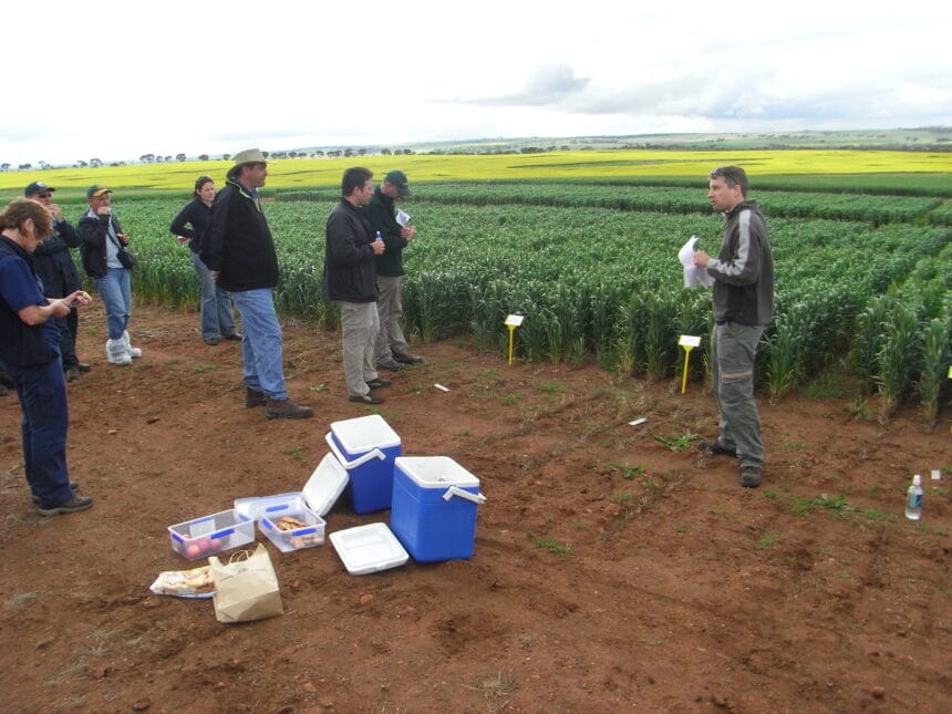 Daniel Huberli Scientist Spotlight