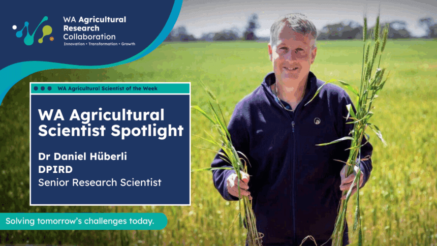 Dr Daniel Huberli Scientist Spotlight