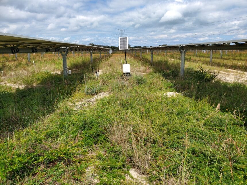 Agrivoltaics project