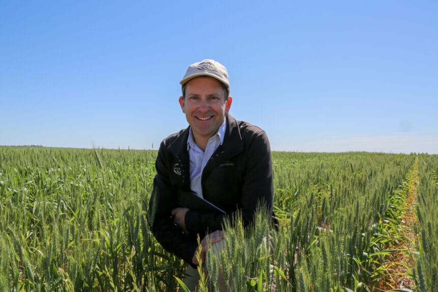 Dr Daniel Mullan - WAARC PhD Showcase