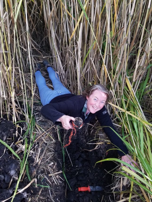 Lysimeter hunting in Iowa USA - Dr Caitlin Moore