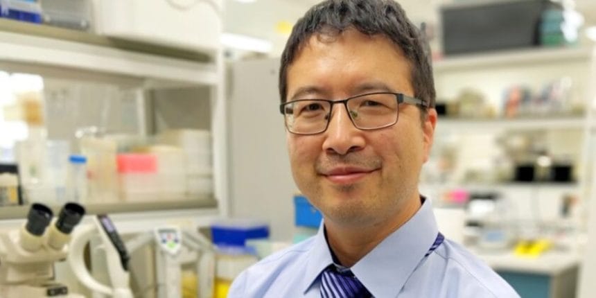 Dr Wei Xu - Murdoch University