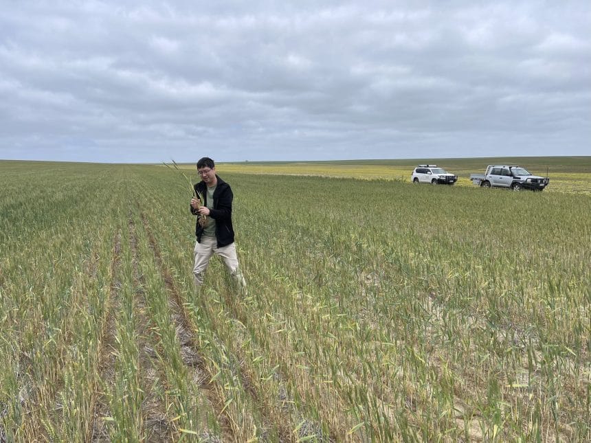 Dr Wei Xu field work