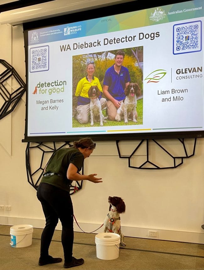 Dr Megan Barnes and Kelly the Dieback detector dog