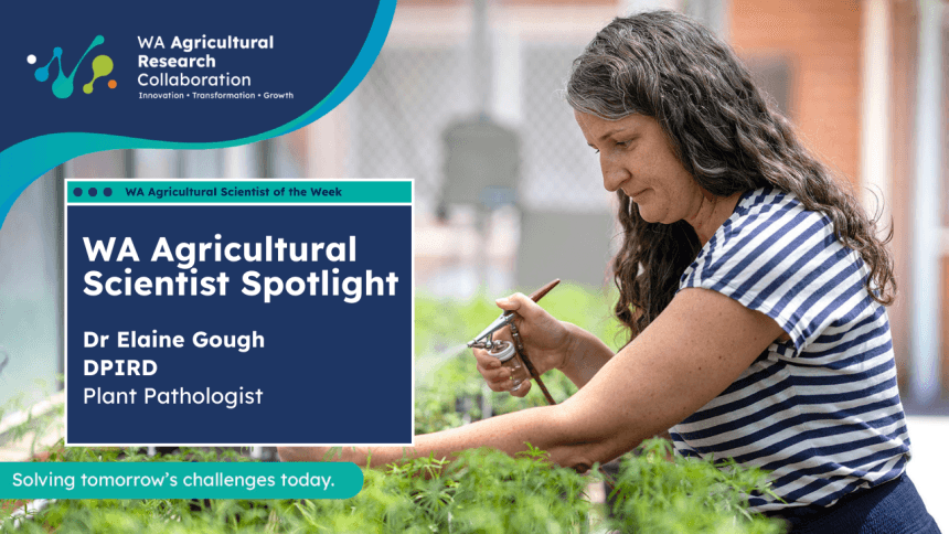 Dr Elaine Gough Scientist Spotlight - DPIRD