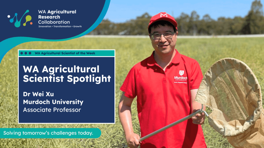 Dr Wei Xu - Scientist Spotlight