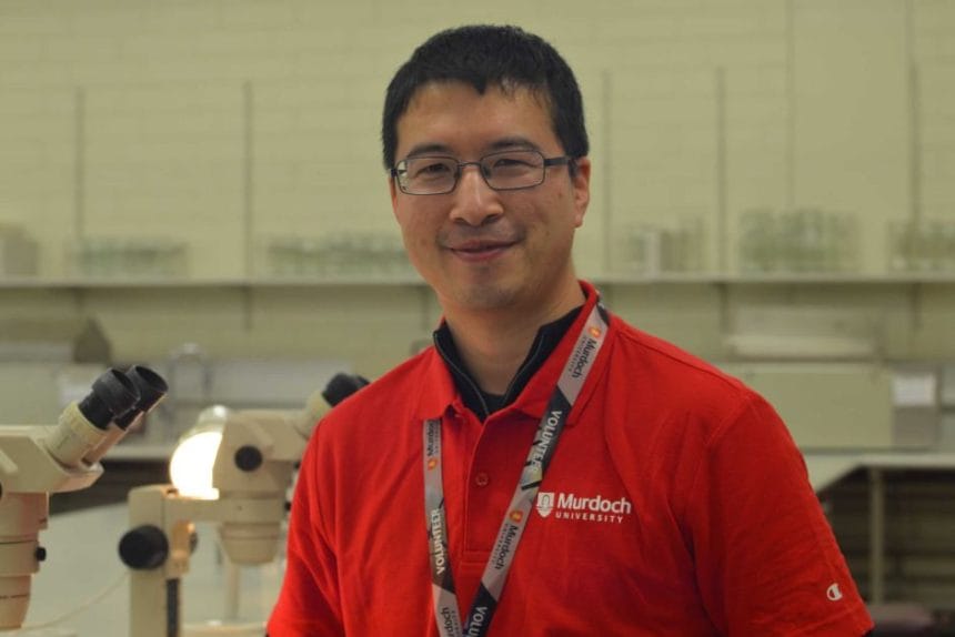 Dr Wei Xu - Murdoch University
