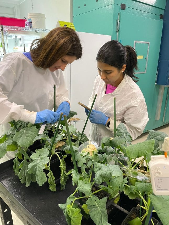 Dr Pippa Michael in lab
