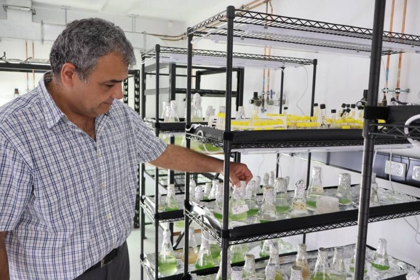 Prof Navid Moheimani - Scientist Spotlight