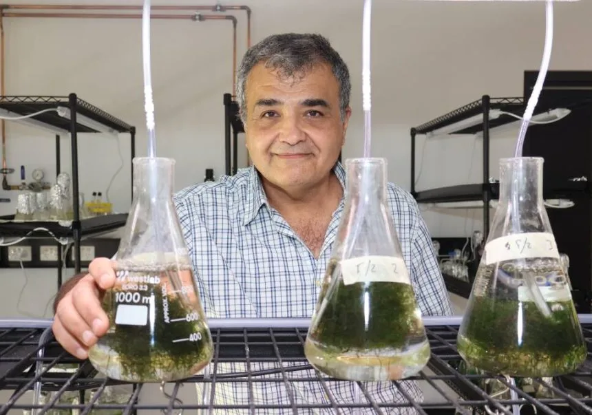 Prof Navid Moheimani - Scientist Spotlight