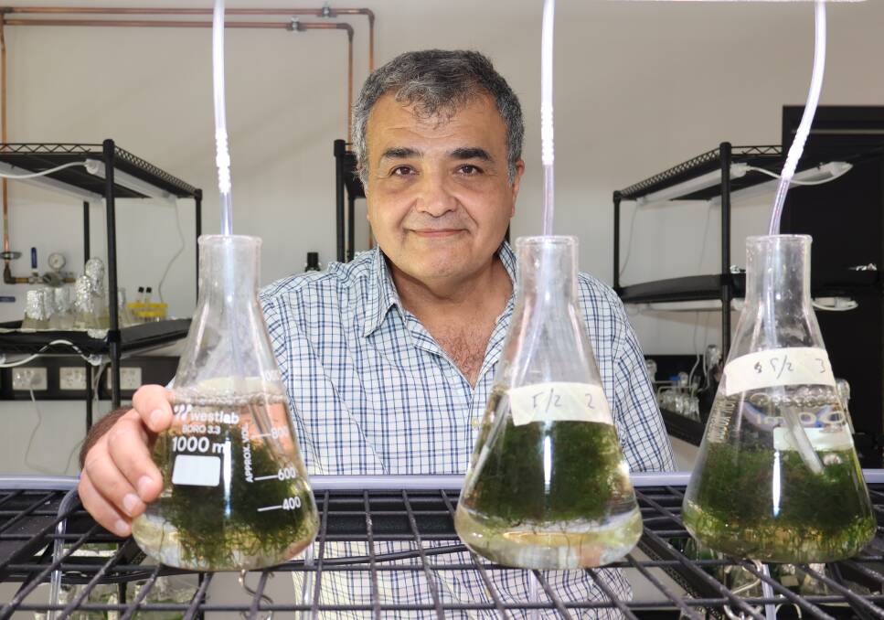 Prof Navid Moheimani - Scientist Spotlight