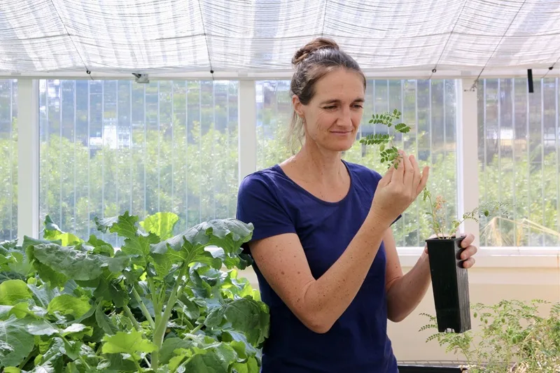 Dr Sarah Rich - Scientist Spotlight