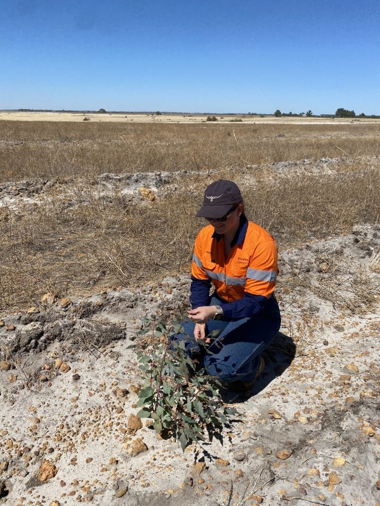WAARC-GGA Honours student Jewel Pivac in the field