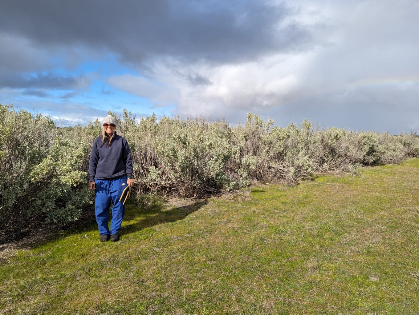 Dr Serina Hancock saltbush research