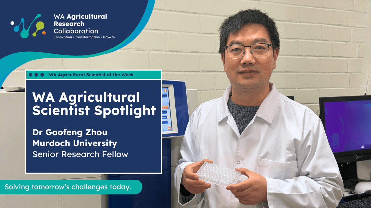 Dr Gaofeng Zhou - Murdoch University - Scientist Spotlight