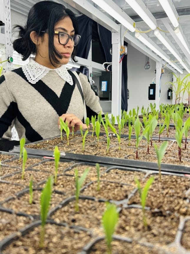 Dr Sakura Thennakoon growth chamber