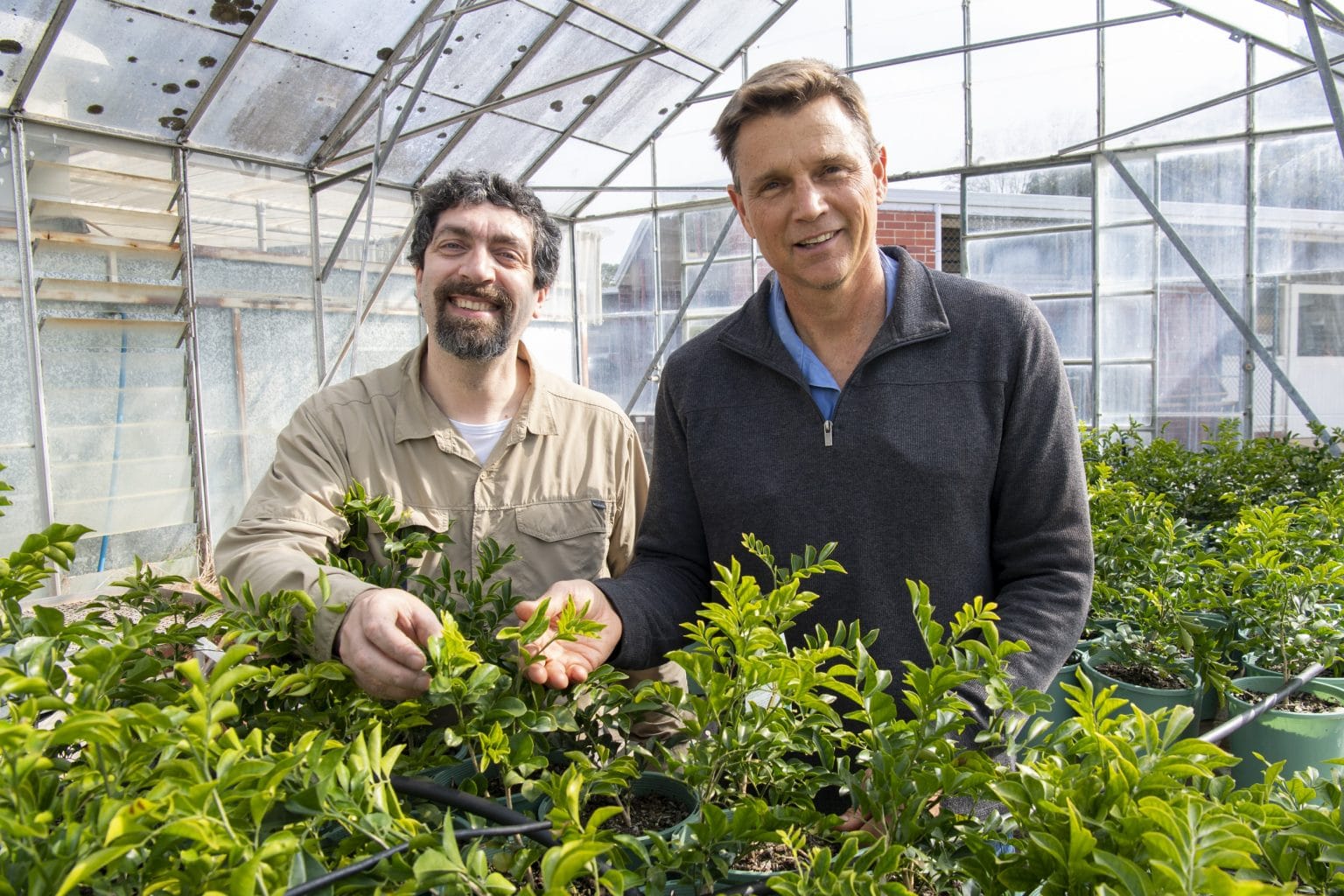 Horticulture researchers Dario Stefanelli and Neil Lantzke (DPIRD)