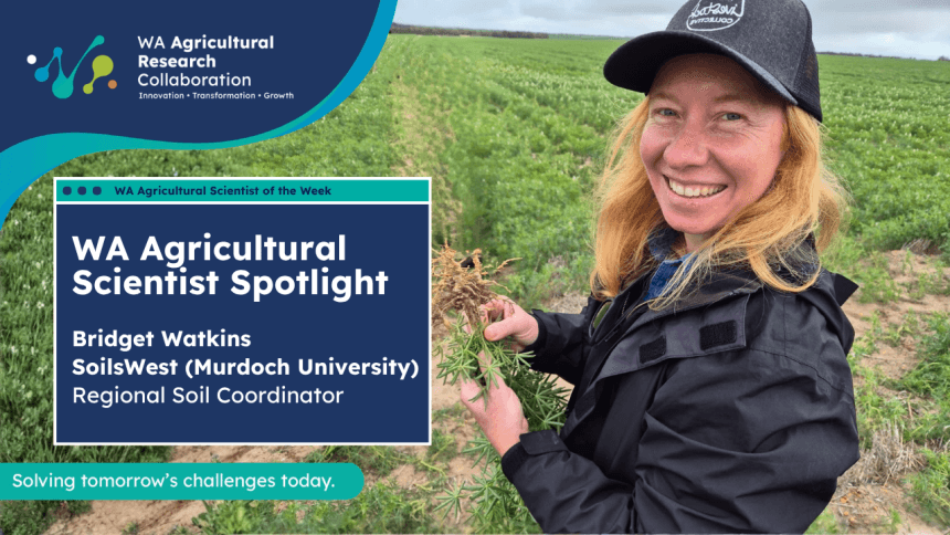 Bridget Watkins - Scientist Spotlight