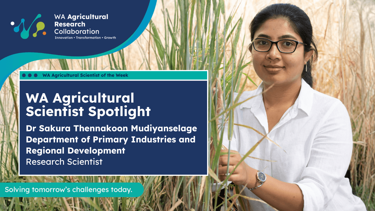 Dr Sakura Thennakoon (DPIRD) - Scientist Spotlight