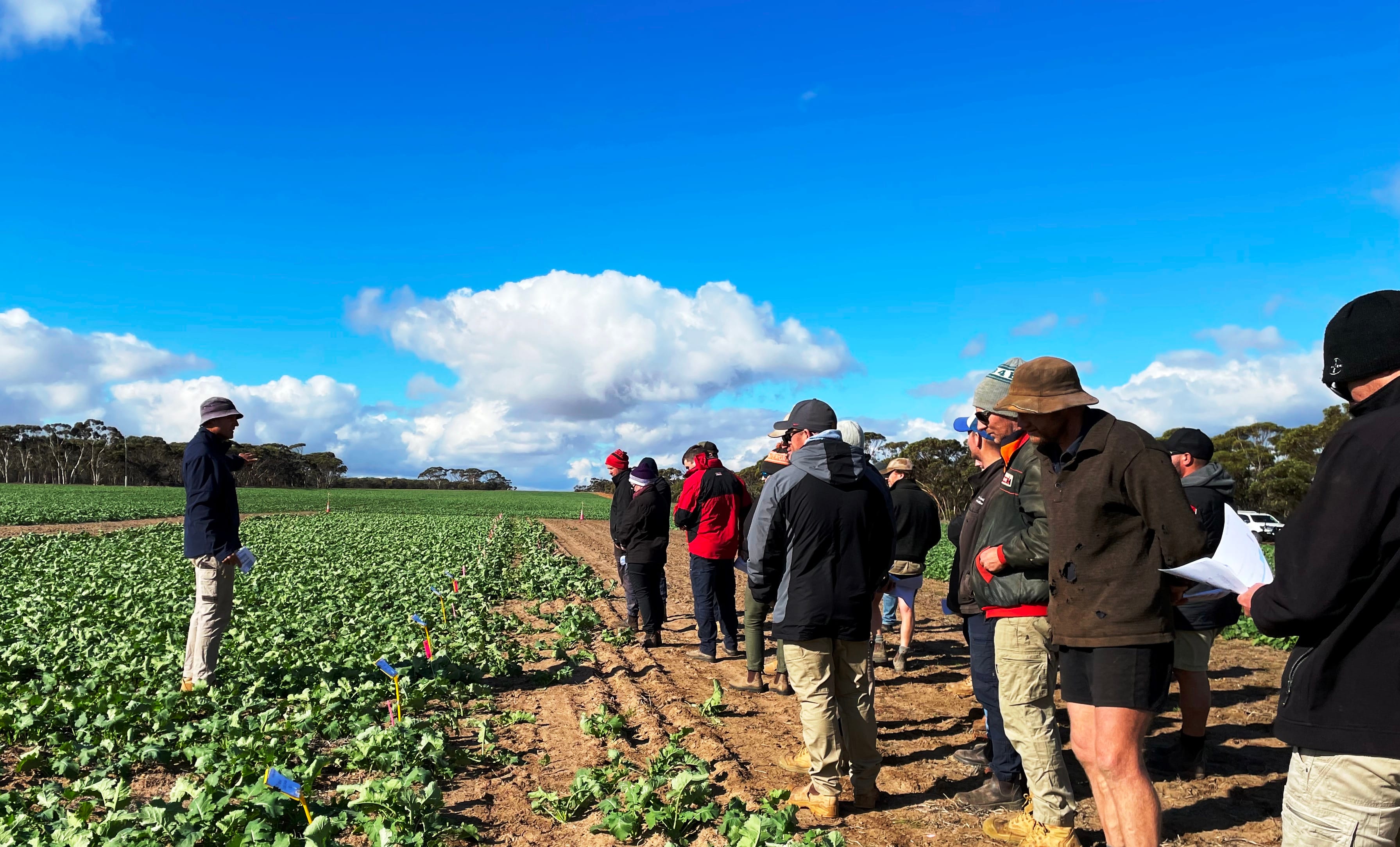Dr Andrew Wherrett (Living Farm) in paddock