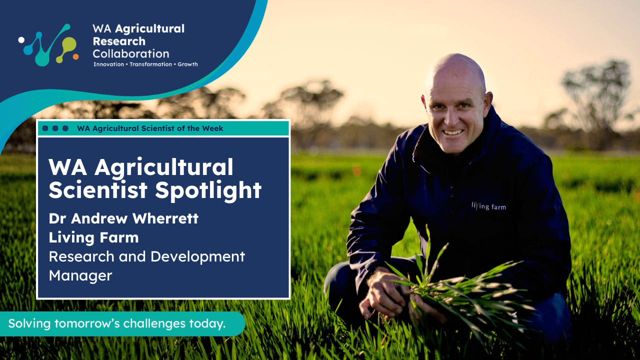 Dr Andrew Wherrett - Scientist Spotlight