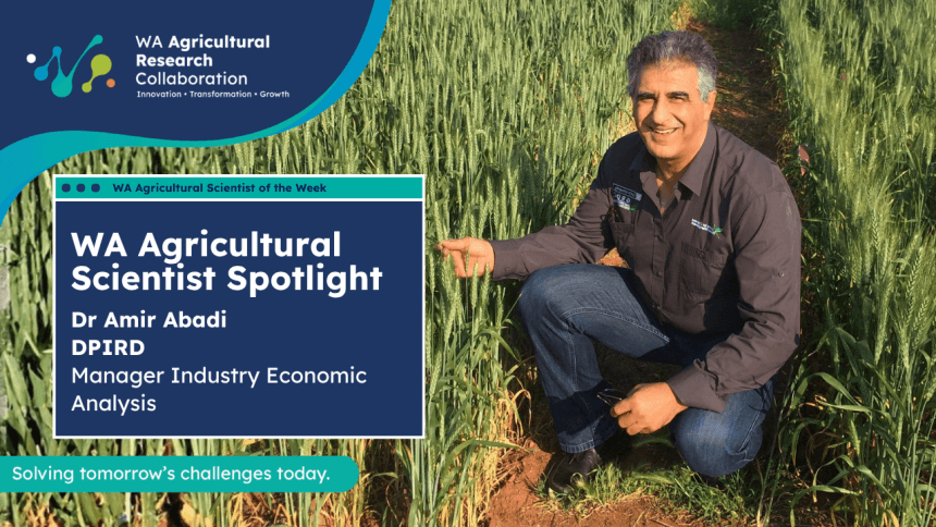 Dr Amir Abadi (DPIRD) - Scientist Spotlight