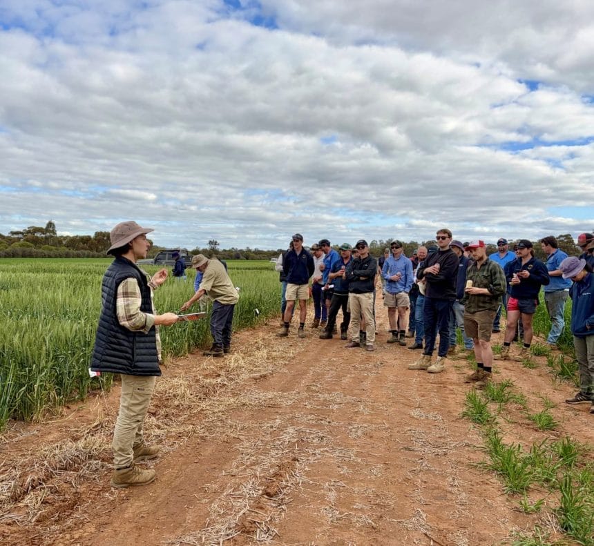 WAARC Round 1 Honours scholarship student Chris Watts in field