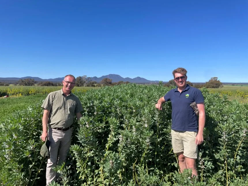 Petr Smykal (Czechia) and Rob in faba beans at trial