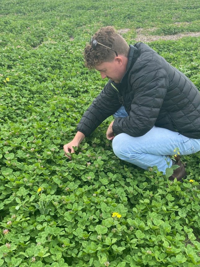 Rob in his cultivar Diamanti Bladder clover