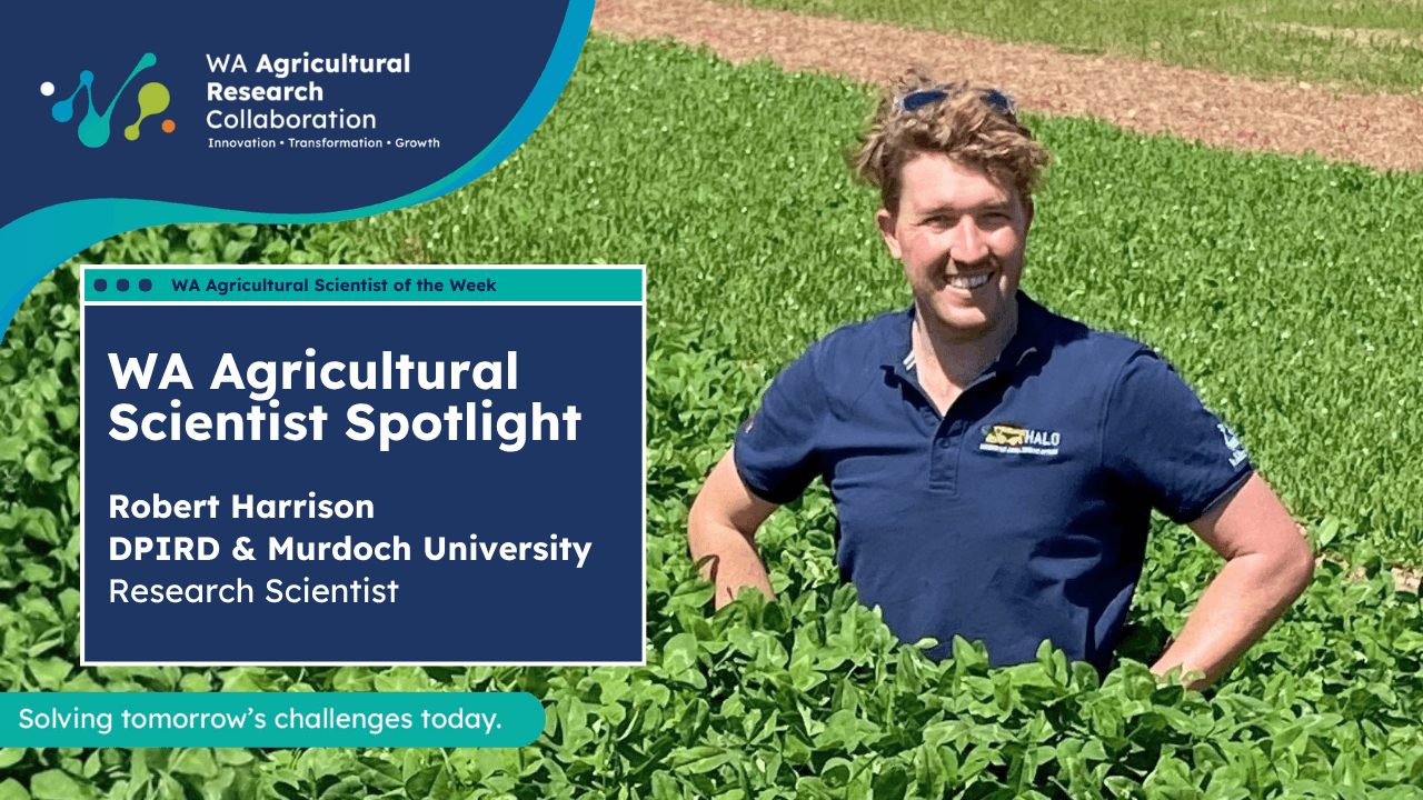Scientist Spotlight - Robert Harrison (DPIRD and Murdoch University)