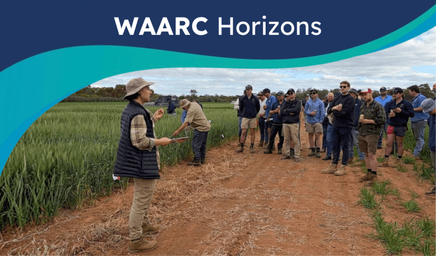 WAARC Horizons Issue 11 banner